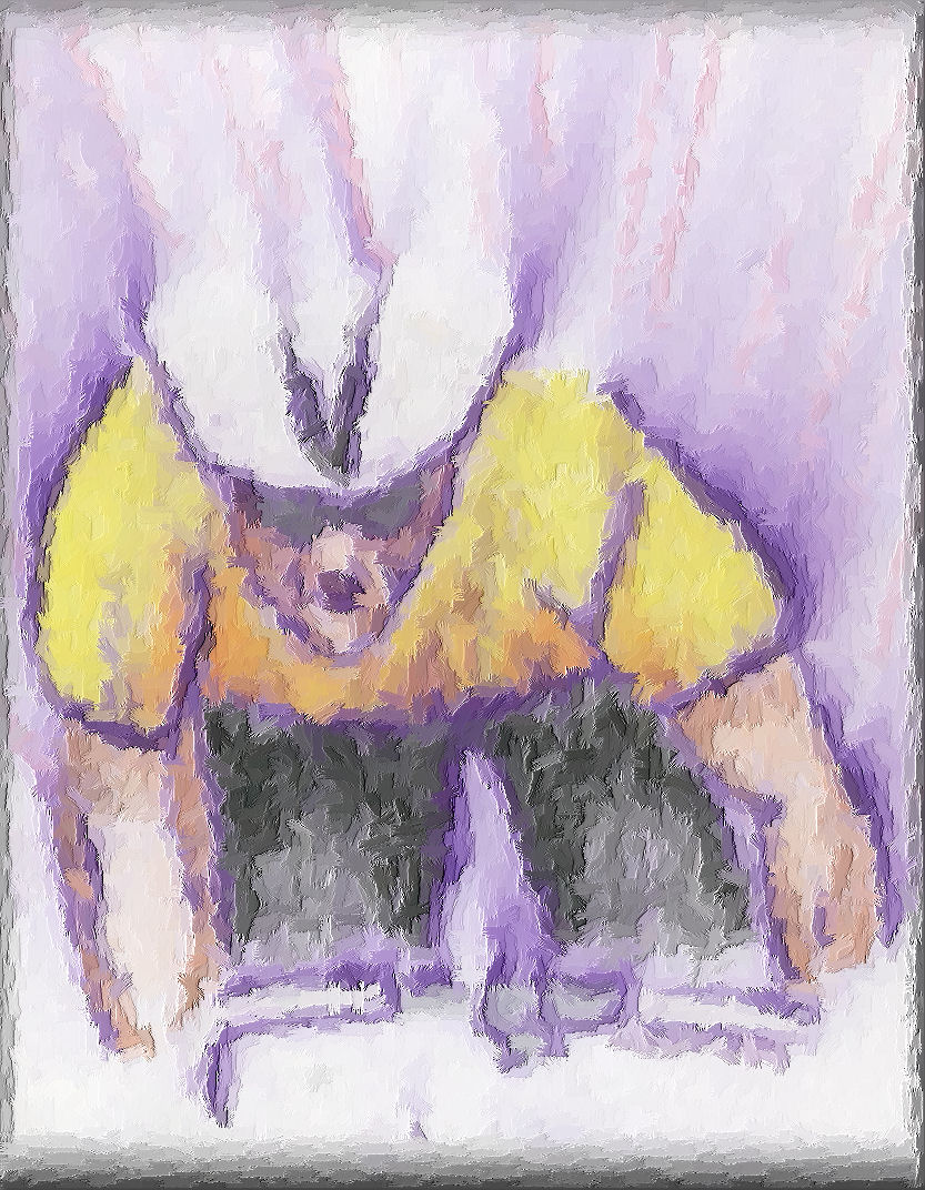 'maillot jaune'  Crayon & Ink Wash (digitally enhanced)  Original 8x10 inches  Maleko