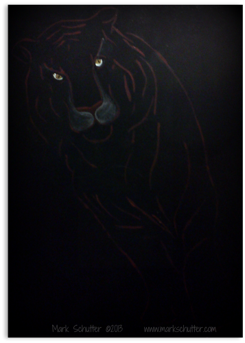 Prowling in the Dark