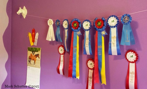 Ribbons 2014