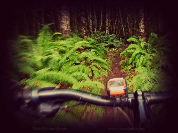 Let it Begin | Mountain Biking | Cycling | Outdoors | Passions |Nature | Adventure
