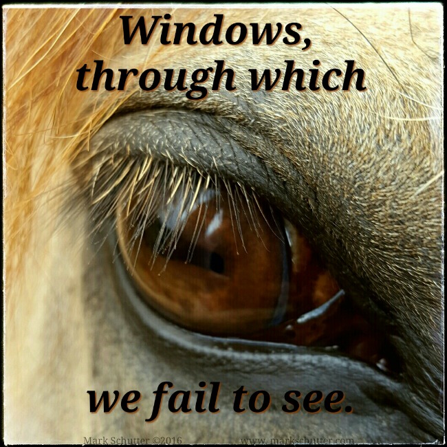 We Fail to See