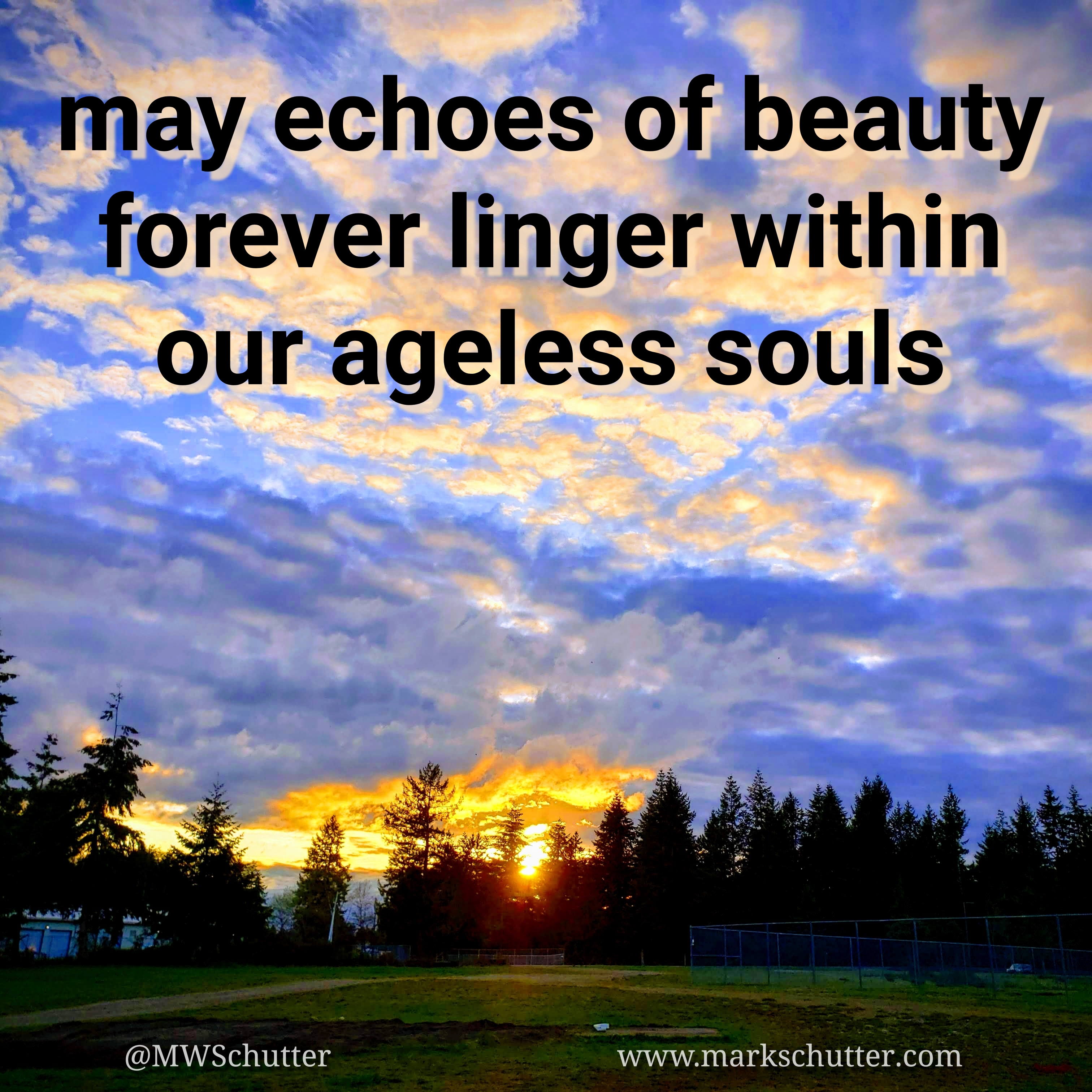 Echoes of Beauty
