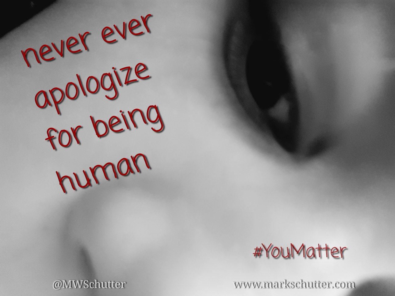 Never Apologize