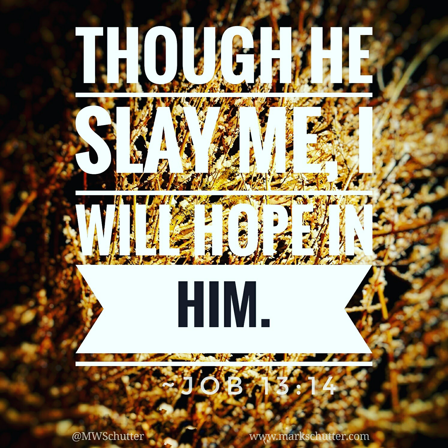 Though He Slay Me…